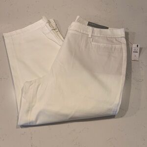 Talbots Women’s Perfect Skimmer Pants Size 12